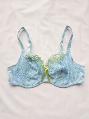 Empreinte Luxury Lingerie Invisible Lace Bra French Unlined Full Coverage 34D